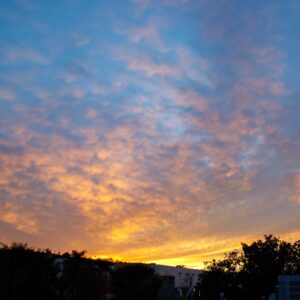 <div class="wcmp-player-container product-660"><audio controlslist="nodownload" data-product="660"  volume="1" id="660" preload="none" data-lazyloading="none" class="wcmp-player track mejs-classic" data-duration="4:32"><source src="https://strokehouse.com/wp-content/uploads/wcmp/5c63d1d36a5a82fb877f685179add53d.mp3" type="audio/mp3" /></audio></div>Special Light - Full Version