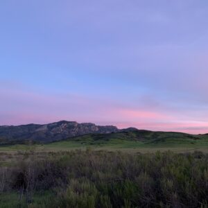 <div class="wcmp-player-container product-648"><audio controlslist="nodownload" data-product="648" volume="1" id="648" preload="none" data-lazyloading="none" class="wcmp-player track mejs-classic" data-duration="2:50"><source src="https://strokehouse.com/wp-content/uploads/wcmp/76d8e37613b9d0121b7d18662ae4aa92.mp3" type="audio/mp3" /></audio></div>Ascension - Full Version