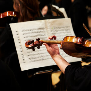 <div class="wcmp-player-container product-716"><audio controlslist="nodownload" data-product="716"  volume="1" id="716" preload="none" data-lazyloading="none" class="wcmp-player track mejs-classic" data-duration="3:05"><source src="https://strokehouse.com/wp-content/uploads/wcmp/8860d879883cc43f1378b34bbc94e514.mp3" type="audio/mp3" /></audio></div>Sunset Orchestral 3-4 - Full Version