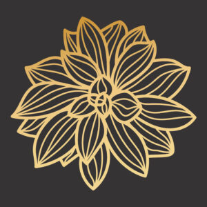 <div class="wcmp-player-container product-1154"><audio controlslist="nodownload" data-product="1154" volume="1" id="1154" preload="none" data-lazyloading="none" class="wcmp-player track mejs-classic" data-duration="1:30"><source src="https://strokehouse.com/wp-content/uploads/wcmp/5c2610363ee4e41d8f4c847ebfb4fa3d.mp3" type="audio/mp3" /></audio></div>Moon Flower - Promo Pack