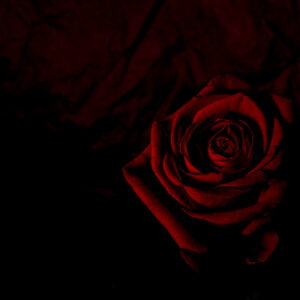 <div class="wcmp-player-container product-1453"><audio controlslist="nodownload" data-product="1453"  volume="1" id="1453" preload="none" data-lazyloading="none" class="wcmp-player track mejs-classic" data-duration="3:07"><source src="https://strokehouse.com/wp-content/uploads/wcmp/21db5b80993623129ba350985de33e50.mp3" type="audio/mp3" /></audio></div>Sliding In - Full Version