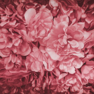 <div class="wcmp-player-container product-1434"><audio controlslist="nodownload" data-product="1434"  volume="1" id="1434" preload="none" data-lazyloading="none" class="wcmp-player track mejs-classic" data-duration="5:40"><source src="https://strokehouse.com/wp-content/uploads/wcmp/841fbb9b7ac48700a167037c4746bc7d.mp3" type="audio/mp3" /></audio></div>The First Time - Full Version