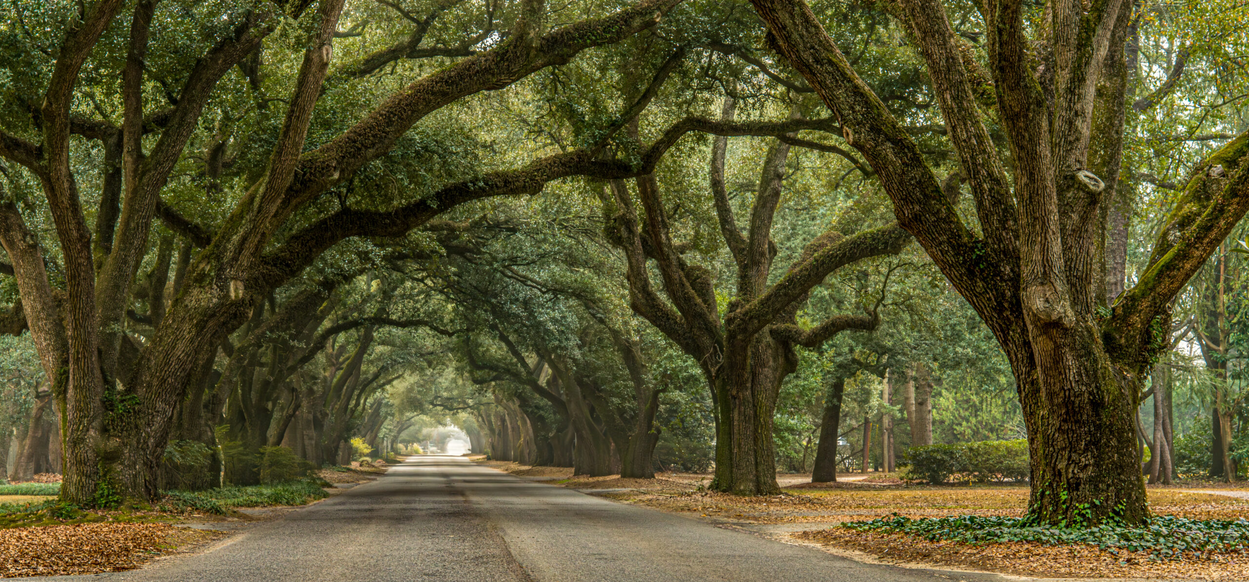 <div class="wcmp-player-container product-1505"><audio controlslist="nodownload" data-product="1505"  volume="1" id="1505" preload="none" data-lazyloading="none" class="wcmp-player track mejs-classic" data-duration="1:30"><source src="https://strokehouse.com/wp-content/uploads/wcmp/ef66a7995b704f524c2c7659701f3b13.mp3" type="audio/mp3" /></audio></div>Coming Home - Promo Pack