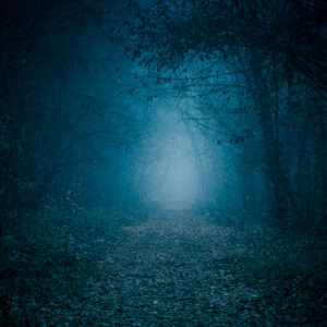 <div class="wcmp-player-container product-1714"><audio controlslist="nodownload" data-product="1714"  volume="1" id="1714" preload="none" data-lazyloading="none" class="wcmp-player track mejs-classic" data-duration="2:34"><source src="https://strokehouse.com/wp-content/uploads/wcmp/b42feb8eb6347eadf16ff36f1cb9b4ef.mp3" type="audio/mp3" /></audio></div>Theme Of Thieves - Full Version