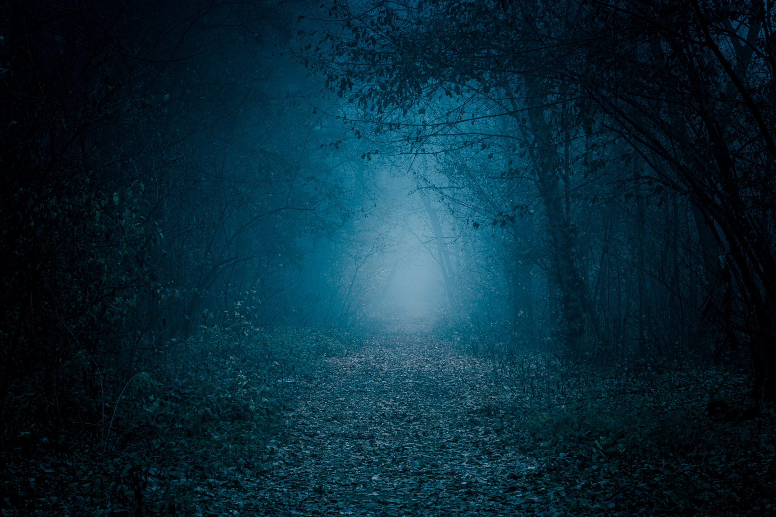 <div class="wcmp-player-container product-1714"><audio controlslist="nodownload" data-product="1714"  volume="1" id="1714" preload="none" data-lazyloading="none" class="wcmp-player track mejs-classic" data-duration="2:34"><source src="https://strokehouse.com/wp-content/uploads/wcmp/b42feb8eb6347eadf16ff36f1cb9b4ef.mp3" type="audio/mp3" /></audio></div>Theme Of Thieves - Full Version