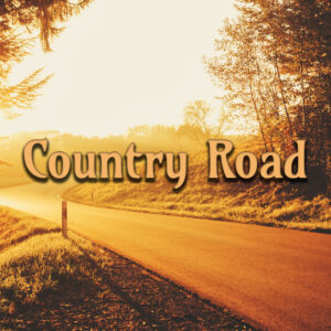 <div class="wcmp-player-container product-2086"><audio controlslist="nodownload" data-product="2086"  volume="1" id="2086" preload="none" data-lazyloading="none" class="wcmp-player track mejs-classic" data-duration="2:41"><source src="https://strokehouse.com/wp-content/uploads/wcmp/2d40d3688389fcec1d36afaa55ce303a.mp3" type="audio/mp3" /></audio></div>Country Road - Full Version