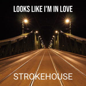 <div class="wcmp-player-container product-2475"><audio controlslist="nodownload" data-product="2475"  volume="1" id="2475" preload="none" data-lazyloading="none" class="wcmp-player track mejs-classic" data-duration="3:36"><source src="https://strokehouse.com/wp-content/uploads/wcmp/31aafc75c1f9255d7eb29af521f5eb63.mp3" type="audio/mp3" /></audio></div>Looks Like I'm in Love - Instrumental