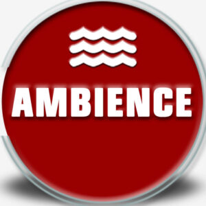 <div class="wcmp-player-container product-2510"><audio controlslist="nodownload" data-product="2510"  volume="1" id="2510" preload="none" data-lazyloading="none" class="wcmp-player track mejs-classic" data-duration="3:25"><source src="https://strokehouse.com/wp-content/uploads/wcmp/568e2af835c3cf87dc749d3db9b02738.mp3" type="audio/mp3" /></audio></div>Ambience and Environments - Beach