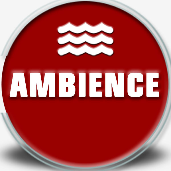 <div class="wcmp-player-container product-2572"><audio controlslist="nodownload" data-product="2572"  volume="1" id="2572" preload="none" data-lazyloading="none" class="wcmp-player track mejs-classic" data-duration="1:00"><source src="https://strokehouse.com/wp-content/uploads/wcmp/4cd5ada1ea32bc5a907556cb8009e7c5.mp3" type="audio/mp3" /></audio></div>Ambience and Environments - City - Rain in Courtyard Pack