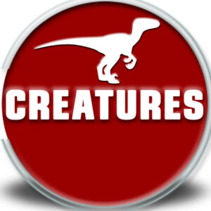 Big Bug - Wings Close Up